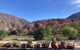Las Lavandas Purmamarca