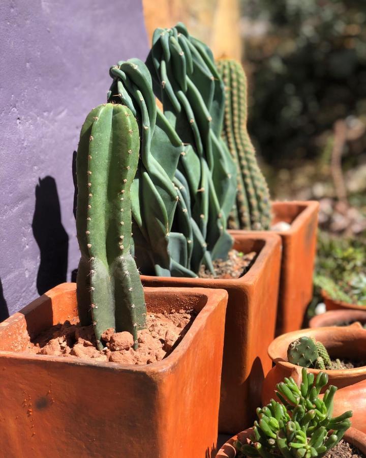 Las Lavandas Purmamarca Exterior foto